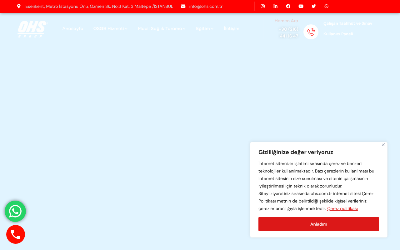 Web sitesi görüntüsü