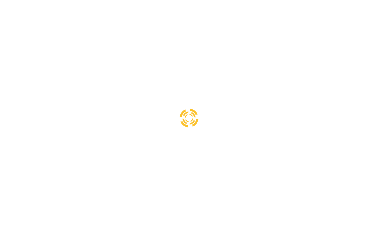 Web sitesi görüntüsü