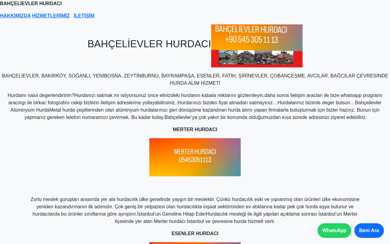 Web sitesi görüntüsü
