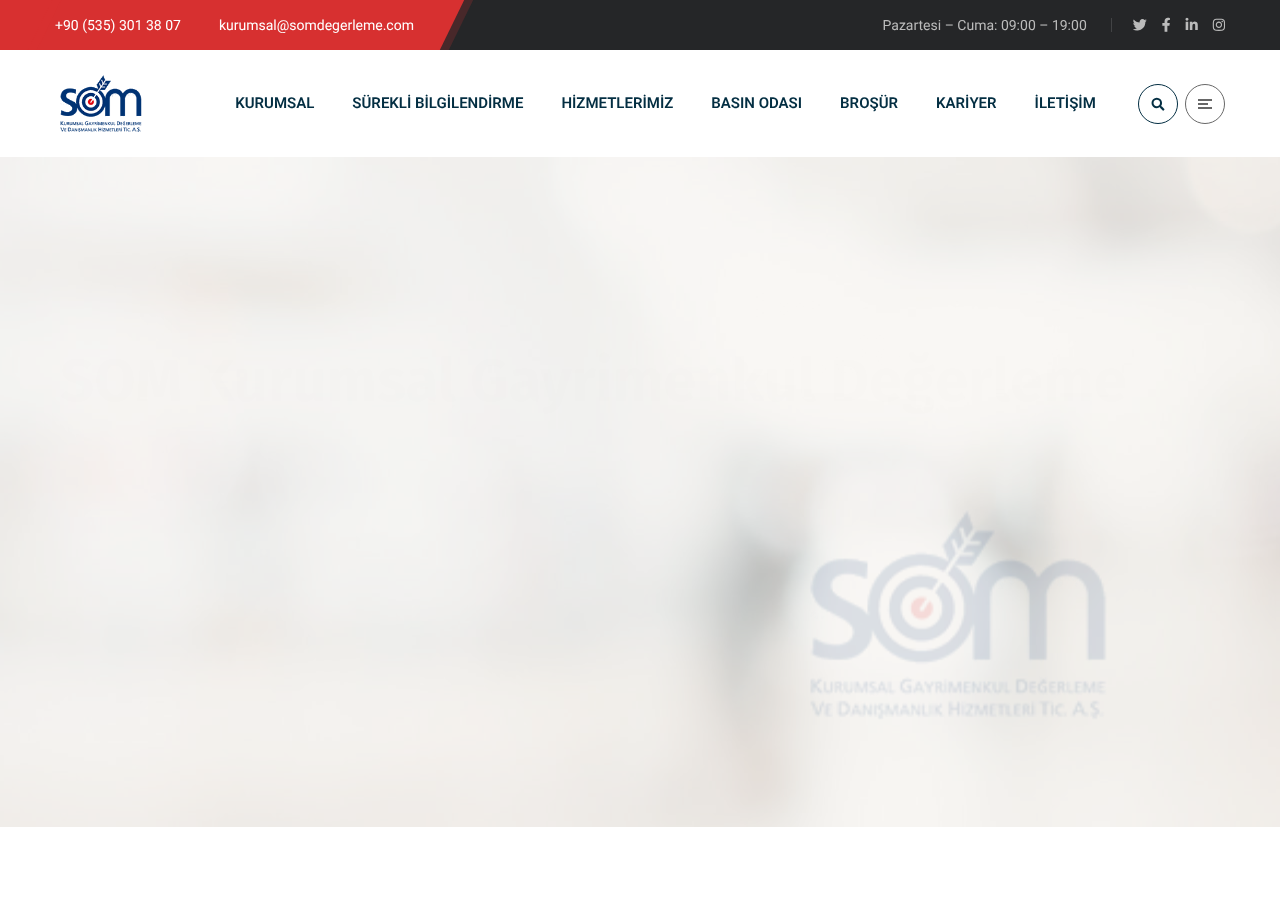 Web sitesi görüntüsü