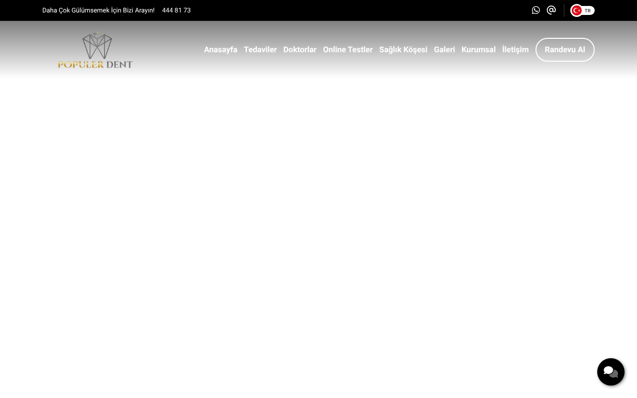 Web sitesi görüntüsü