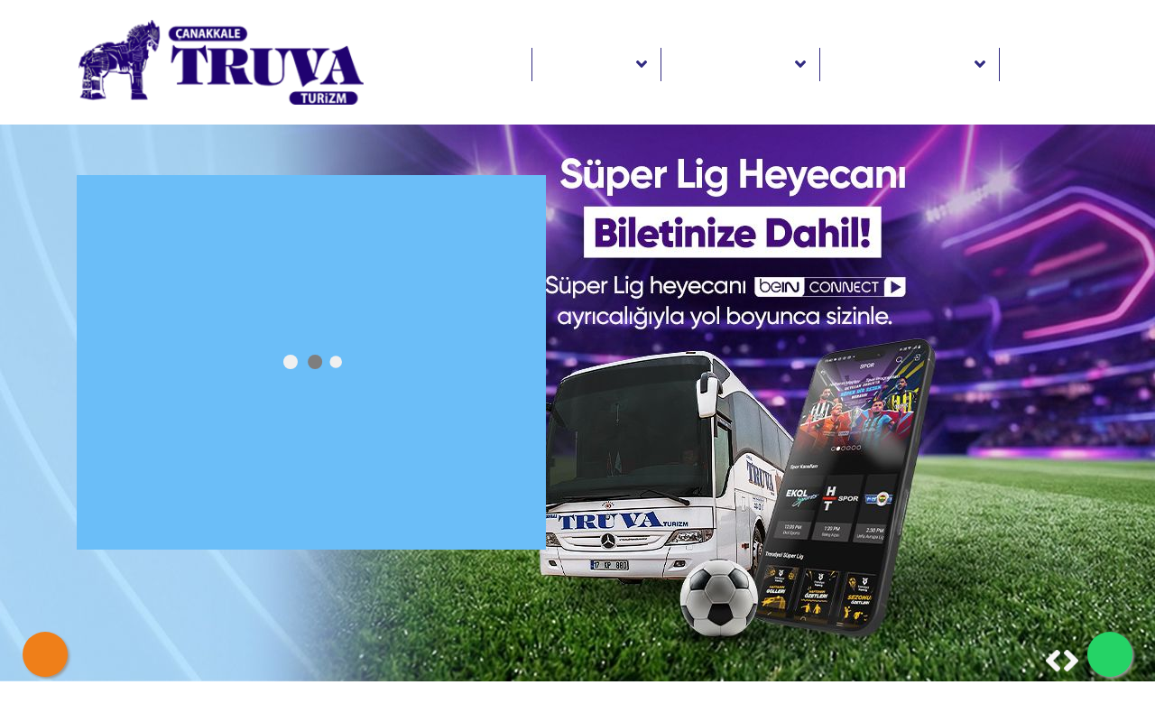 Web sitesi görüntüsü