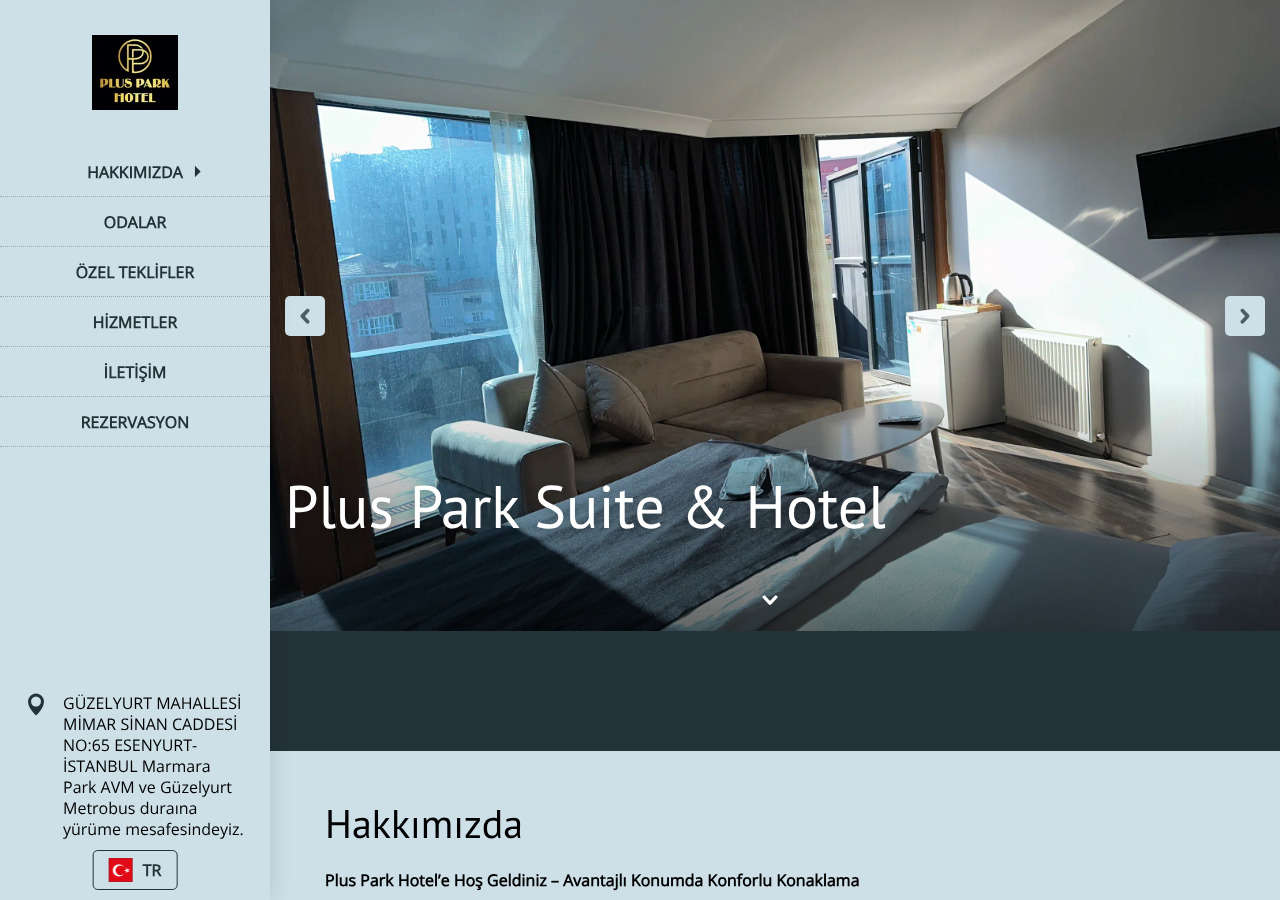 Web sitesi görüntüsü