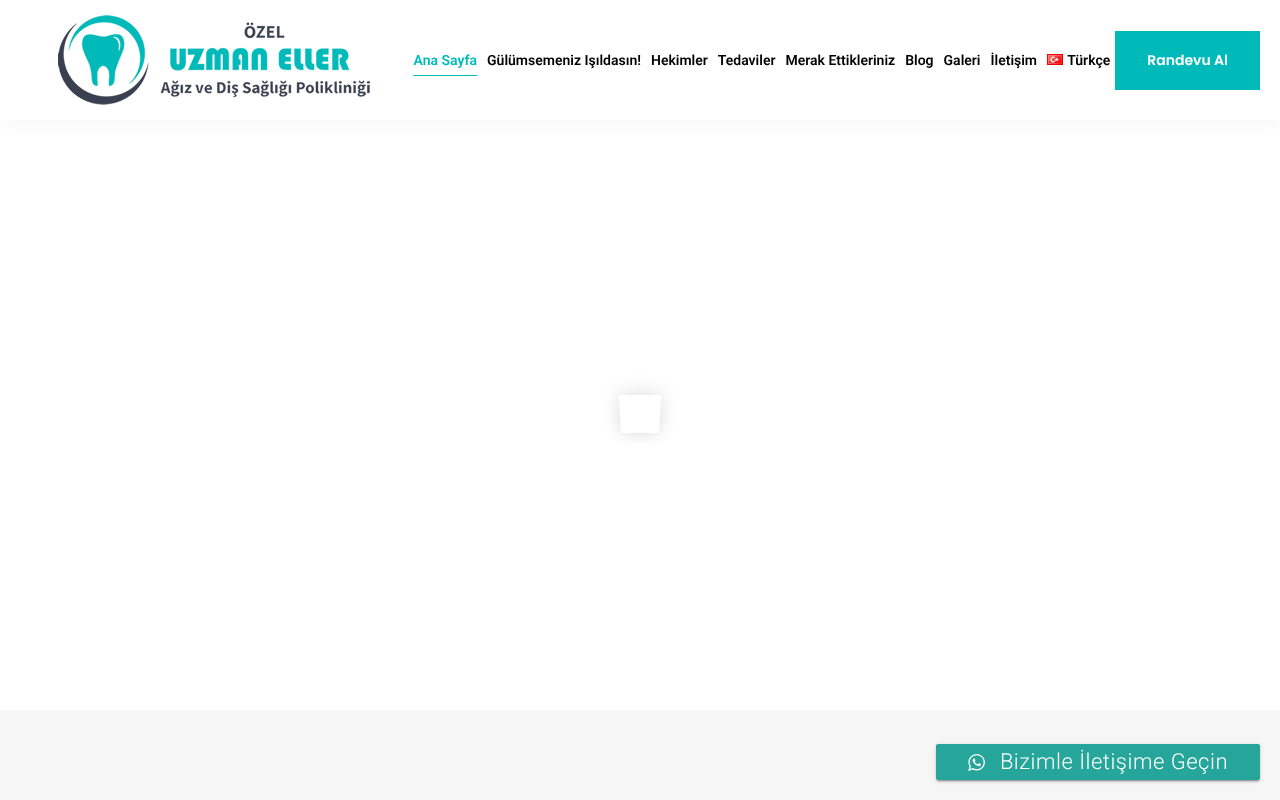Web sitesi görüntüsü