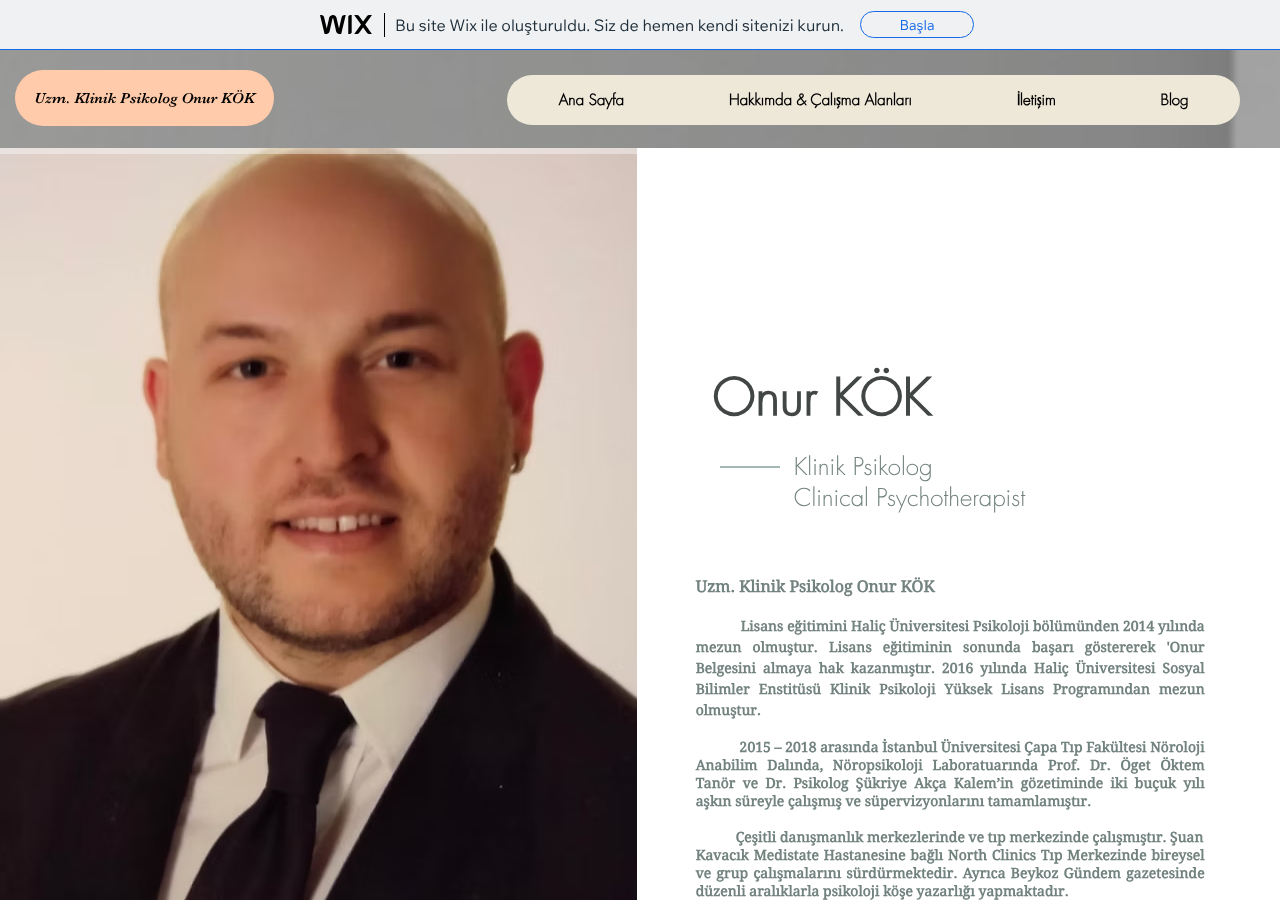 Web sitesi görüntüsü