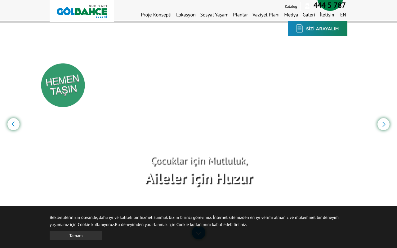 Web sitesi görüntüsü