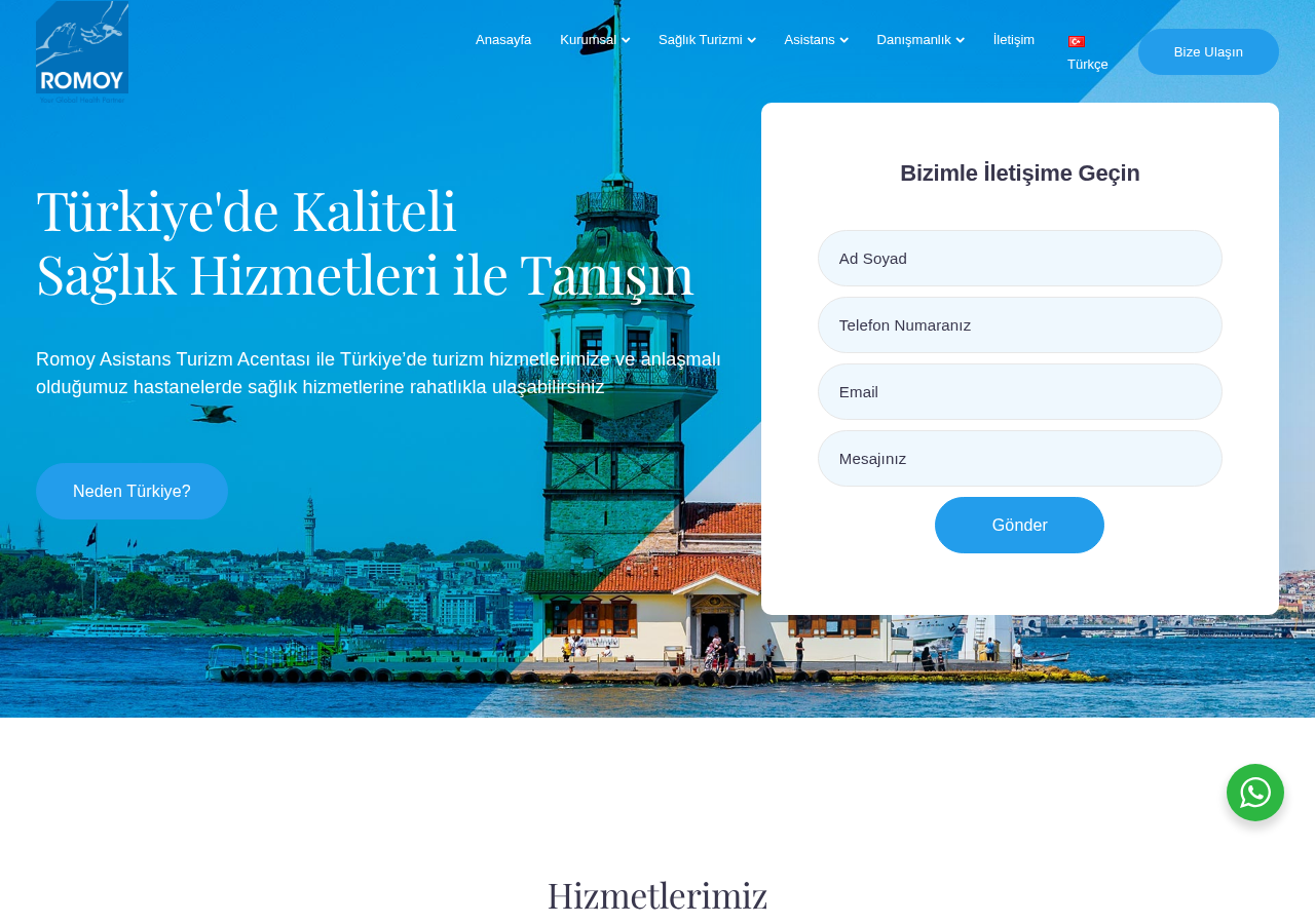Web sitesi görüntüsü