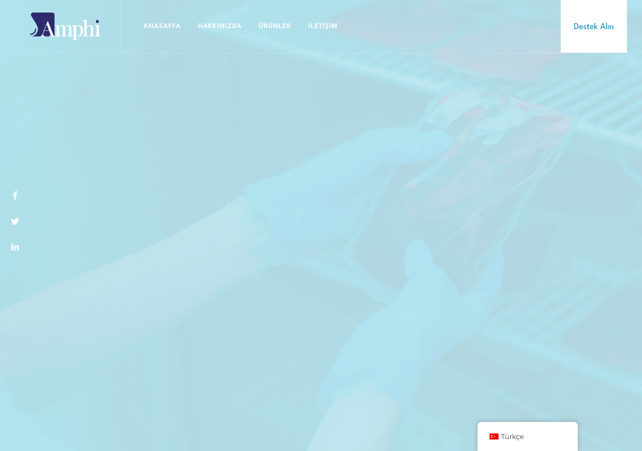 Web sitesi görüntüsü