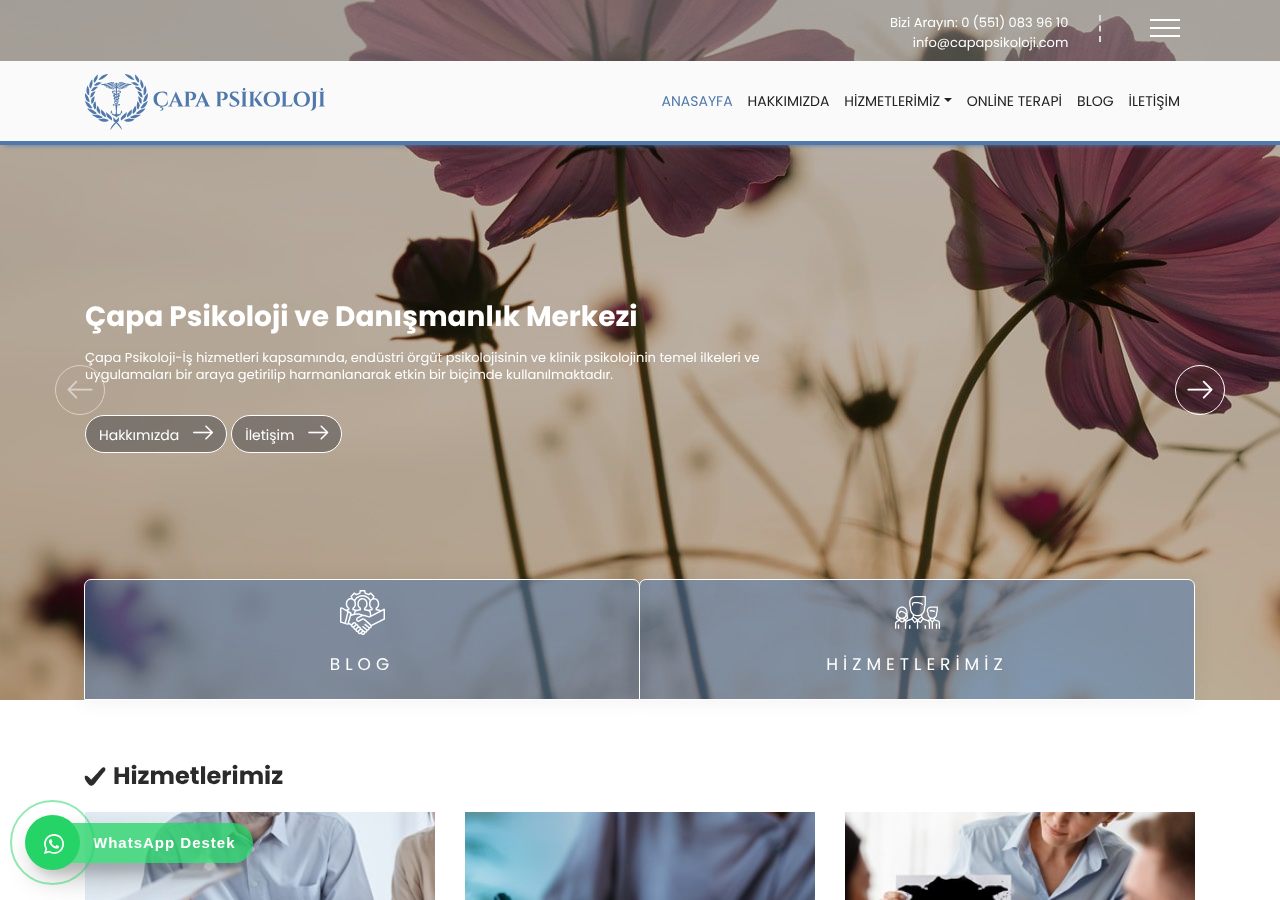 Web sitesi görüntüsü
