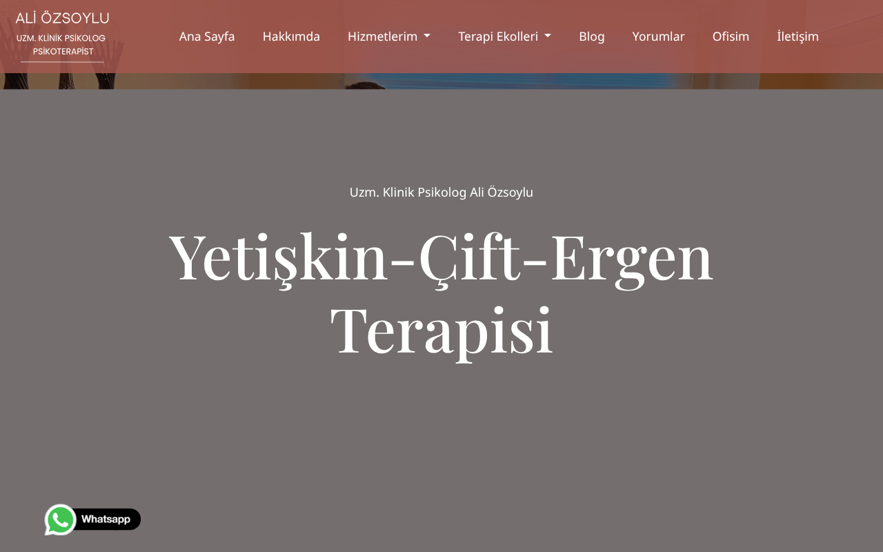 Web sitesi görüntüsü