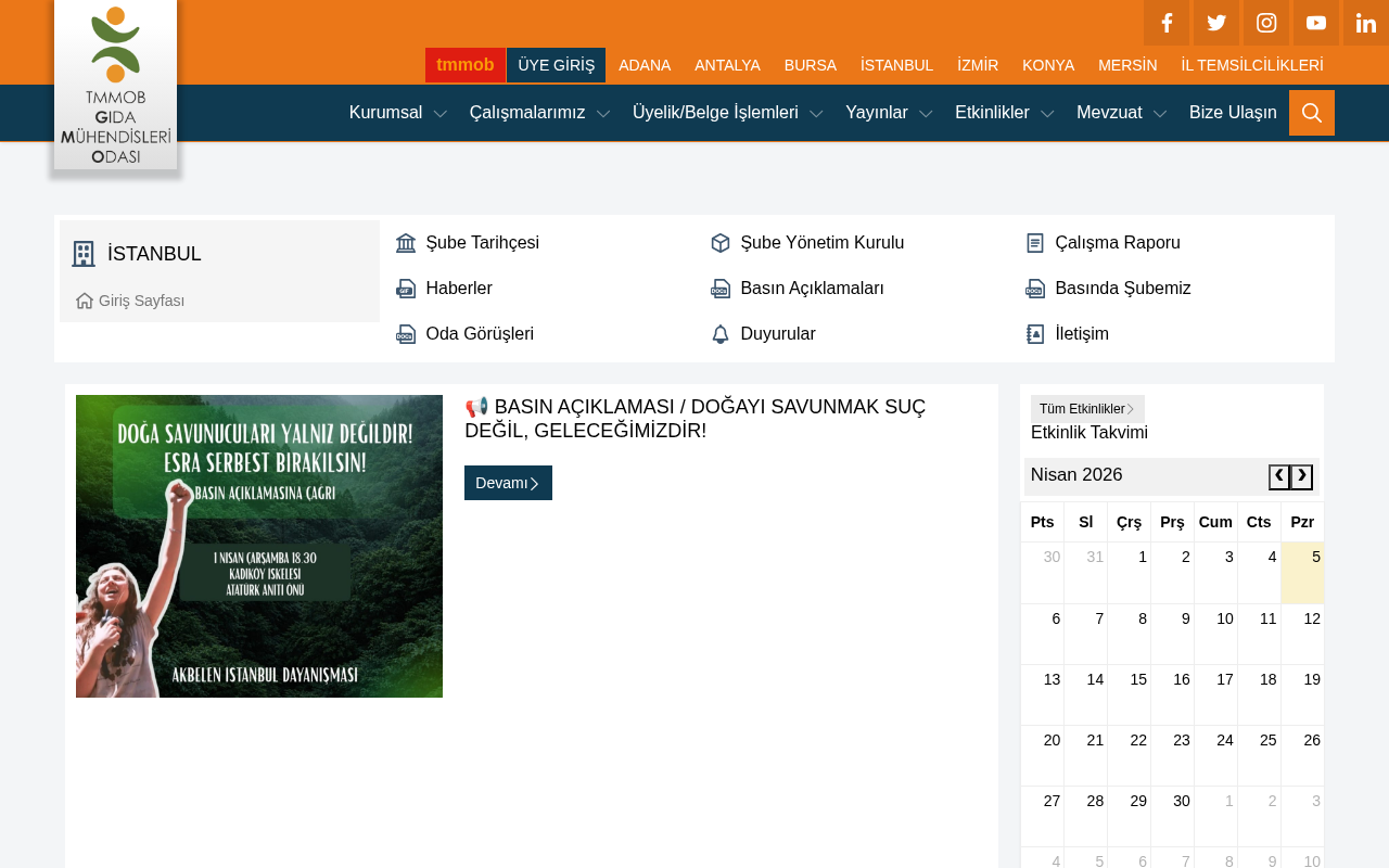 Web sitesi görüntüsü