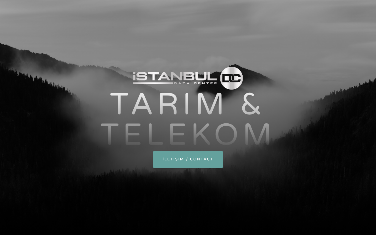Web sitesi görüntüsü