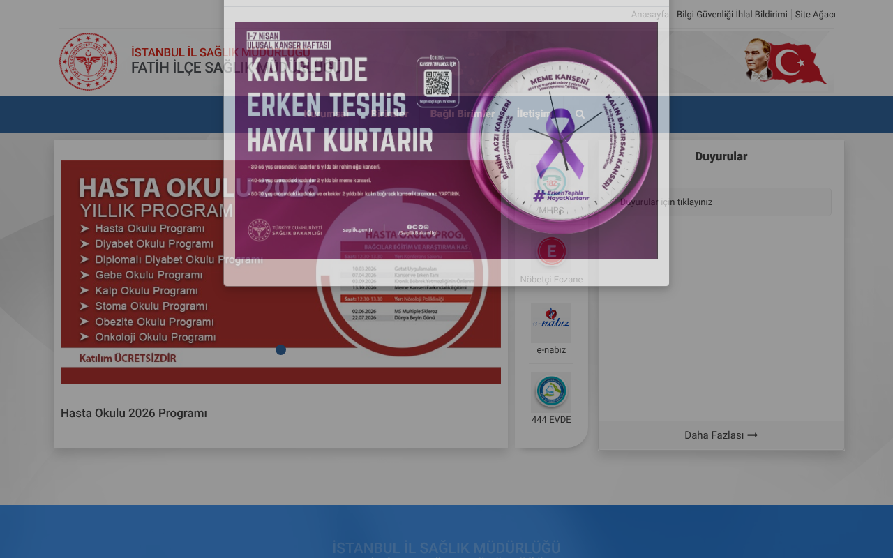 Web sitesi görüntüsü