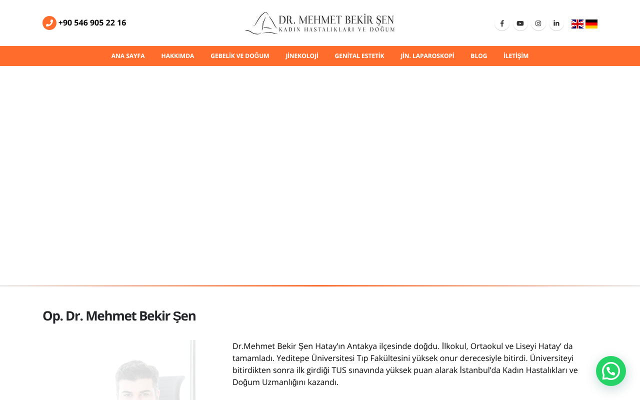 Web sitesi görüntüsü