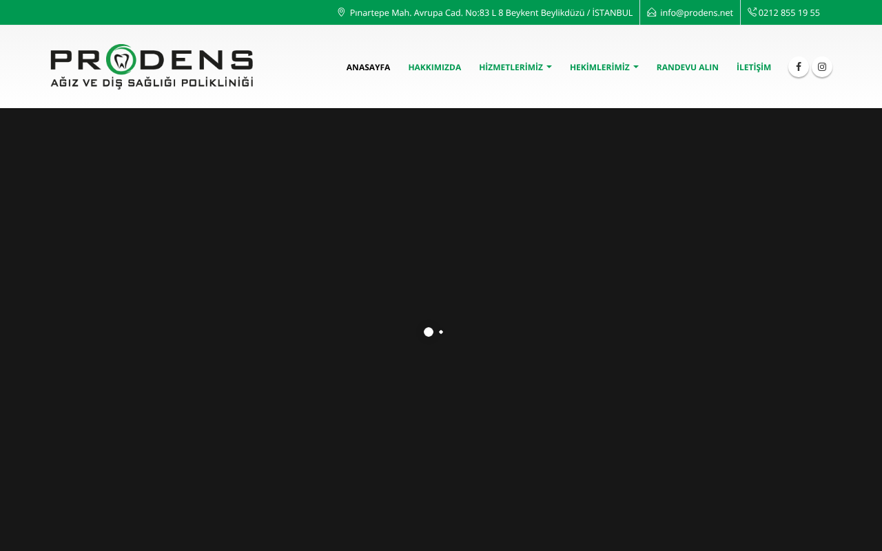 Web sitesi görüntüsü