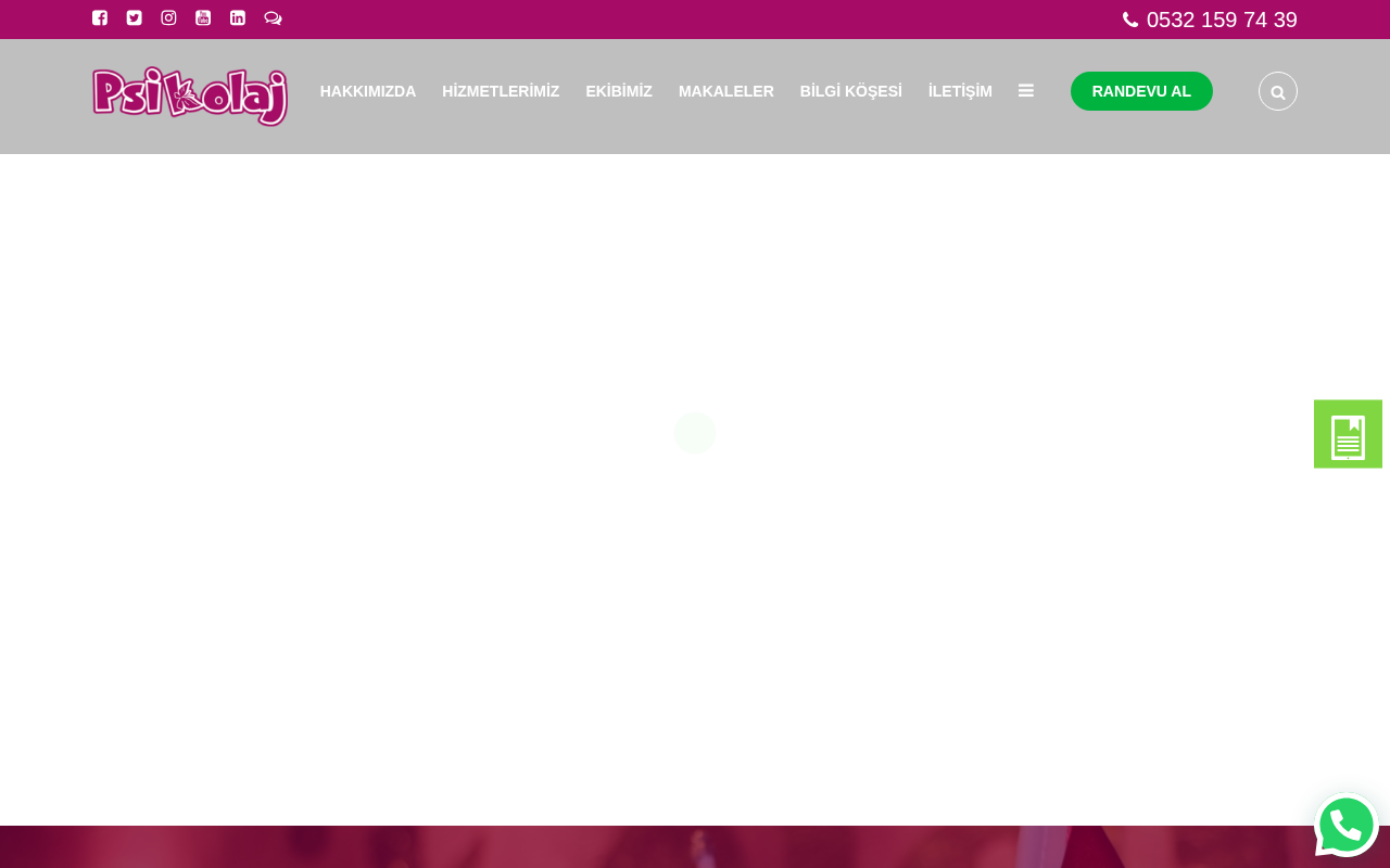 Web sitesi görüntüsü