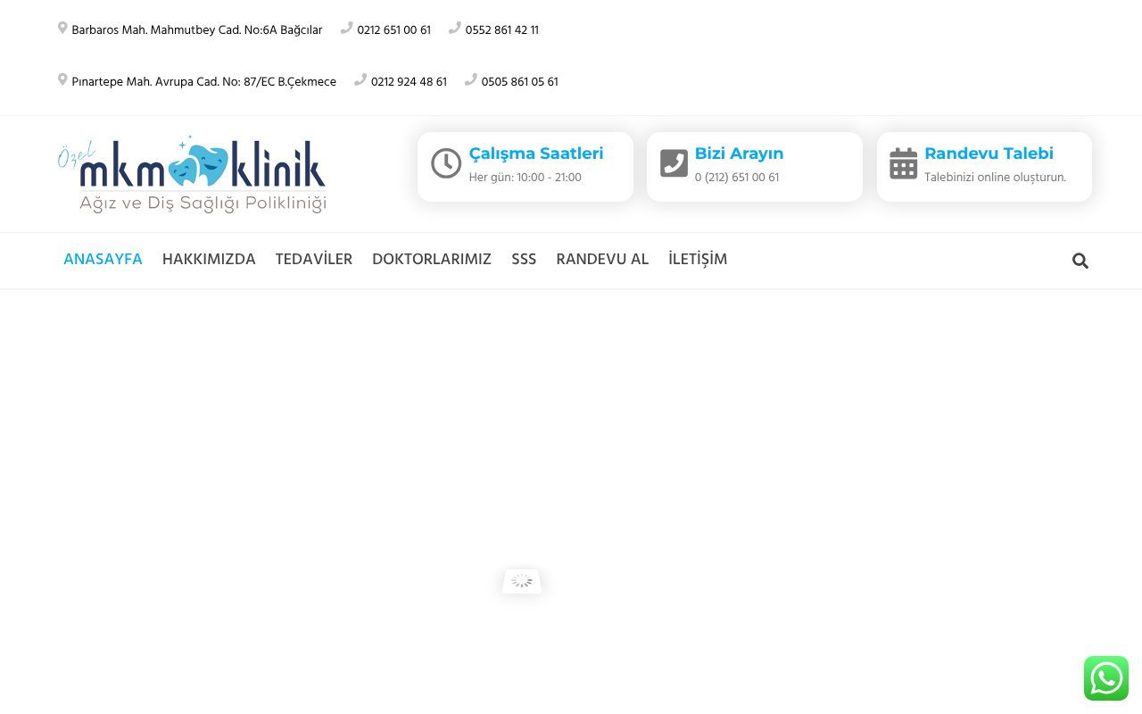 Web sitesi görüntüsü