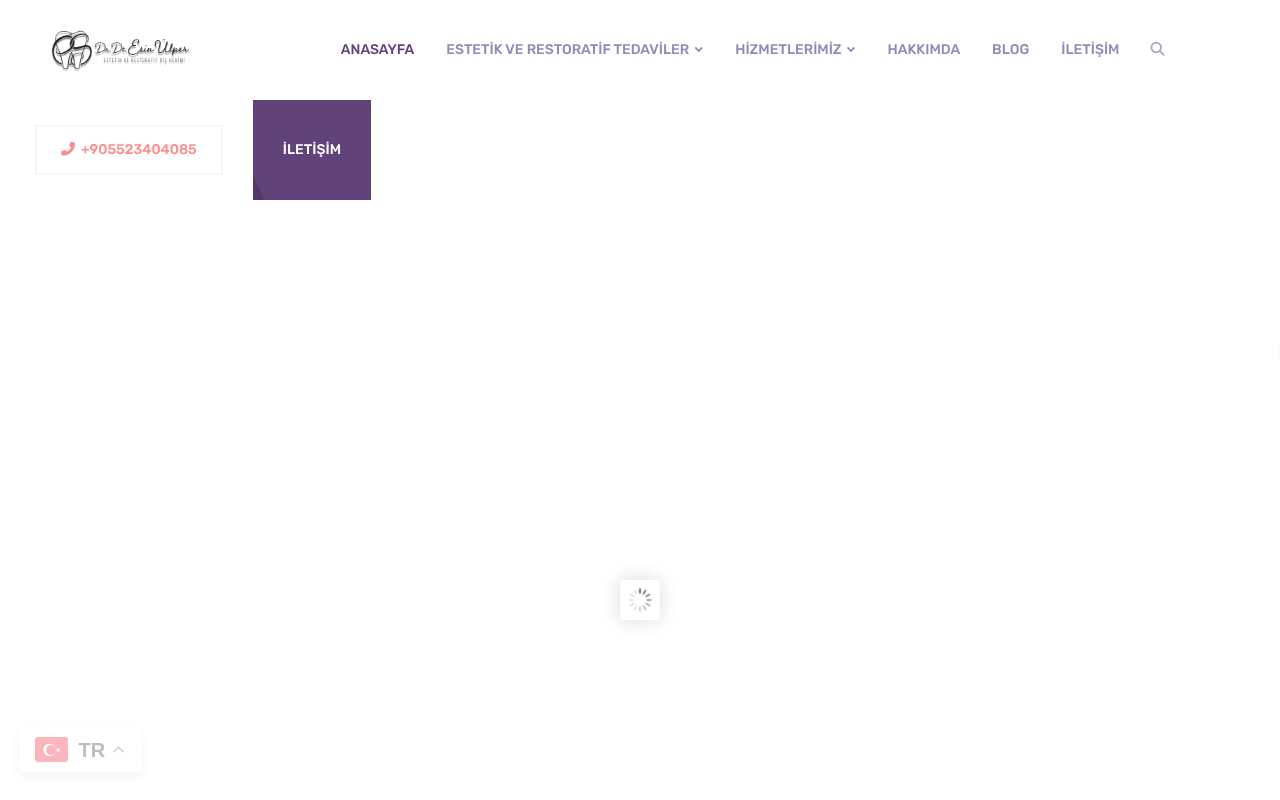 Web sitesi görüntüsü