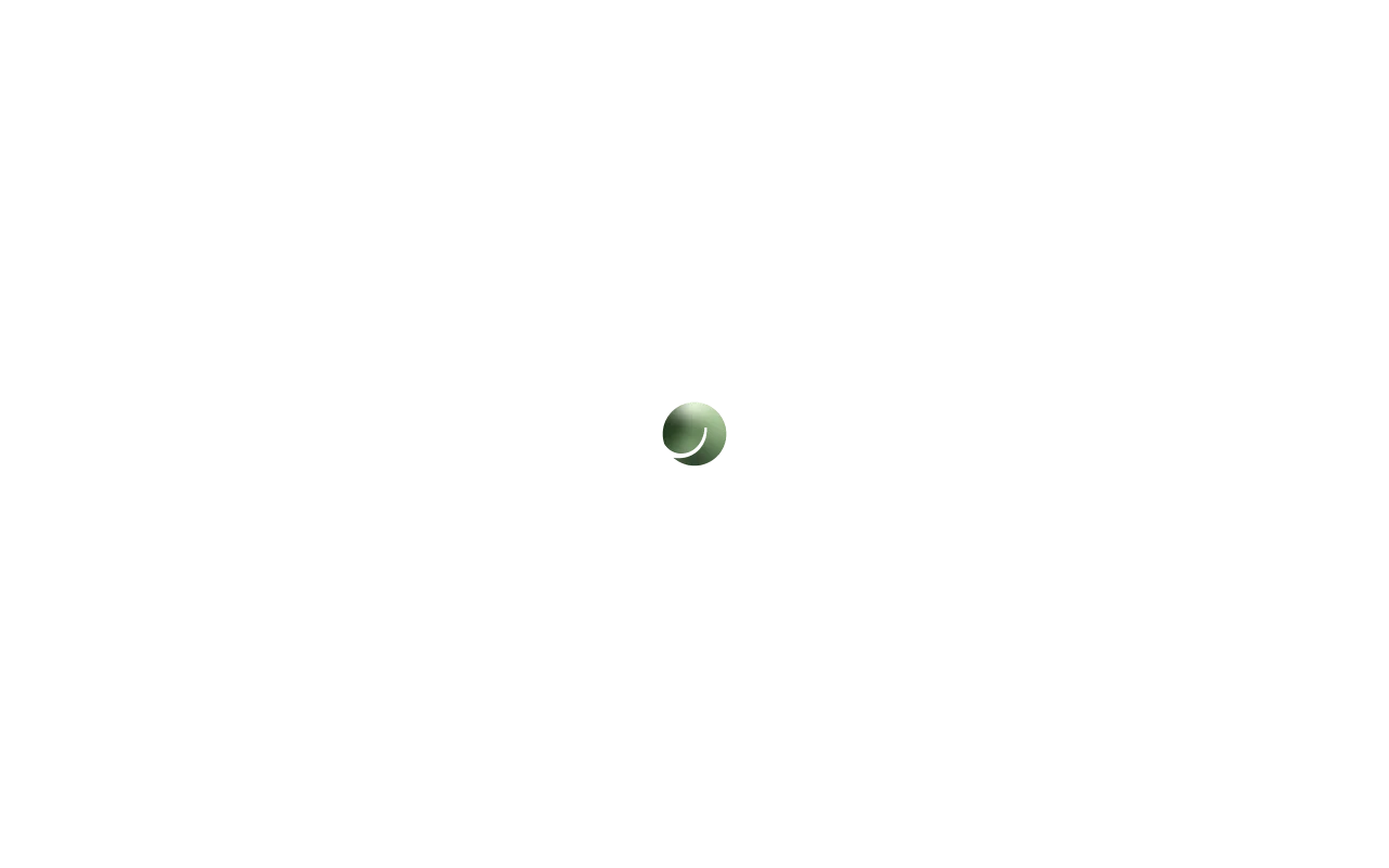 Web sitesi görüntüsü