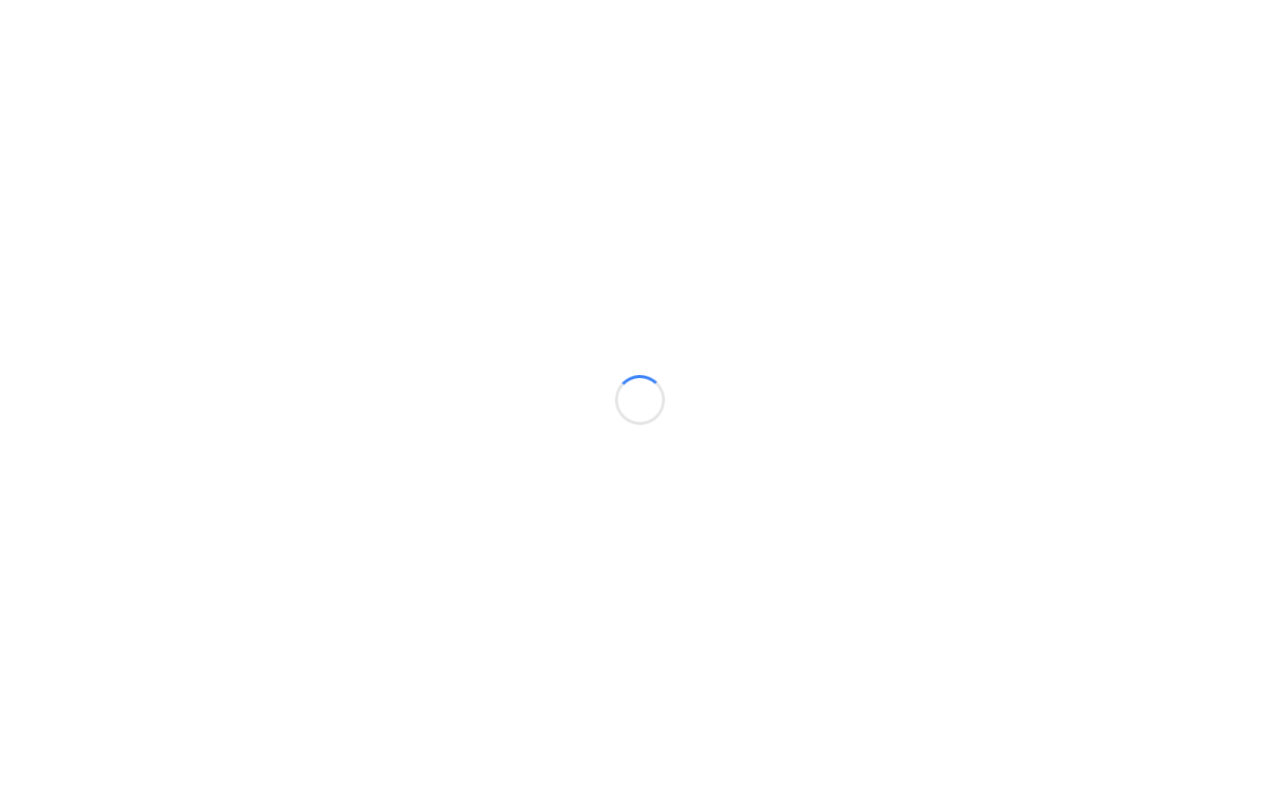 Web sitesi görüntüsü