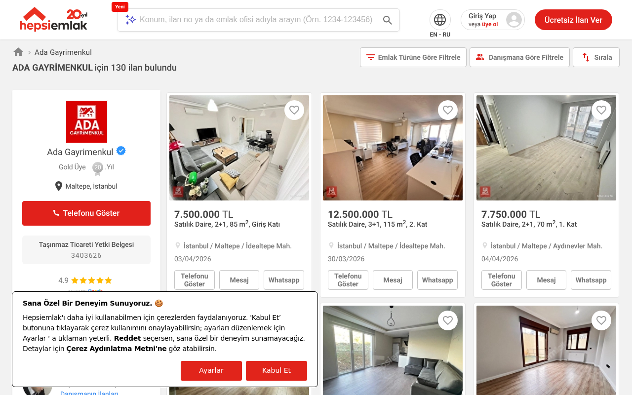 Web sitesi görüntüsü
