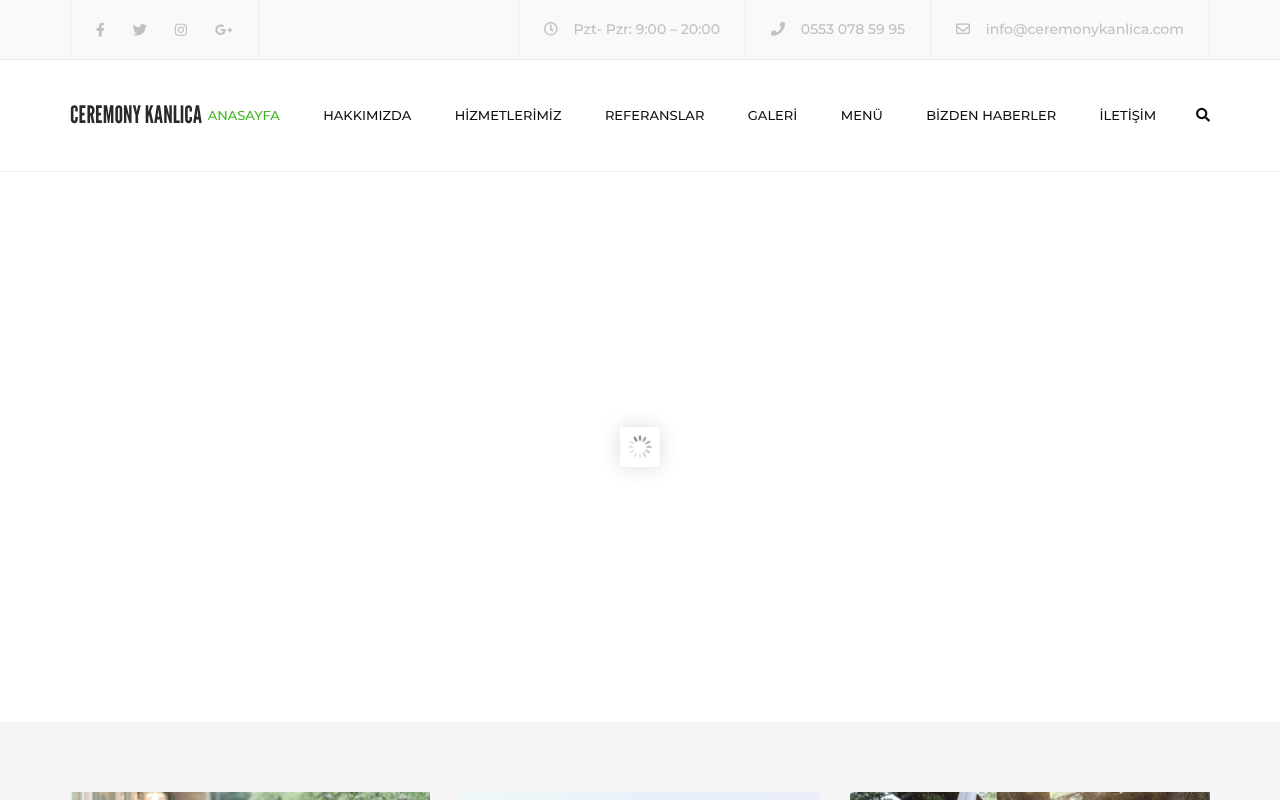 Web sitesi görüntüsü