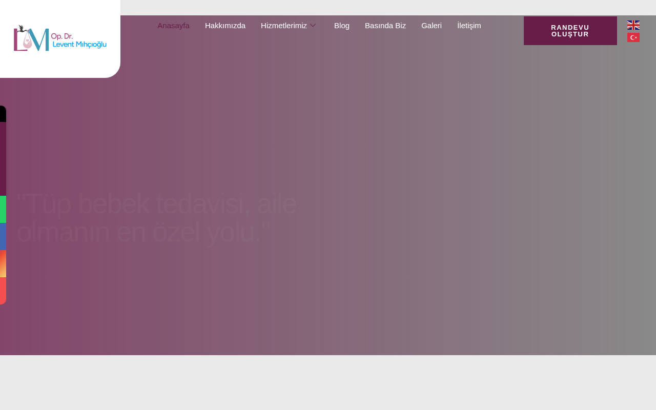 Web sitesi görüntüsü