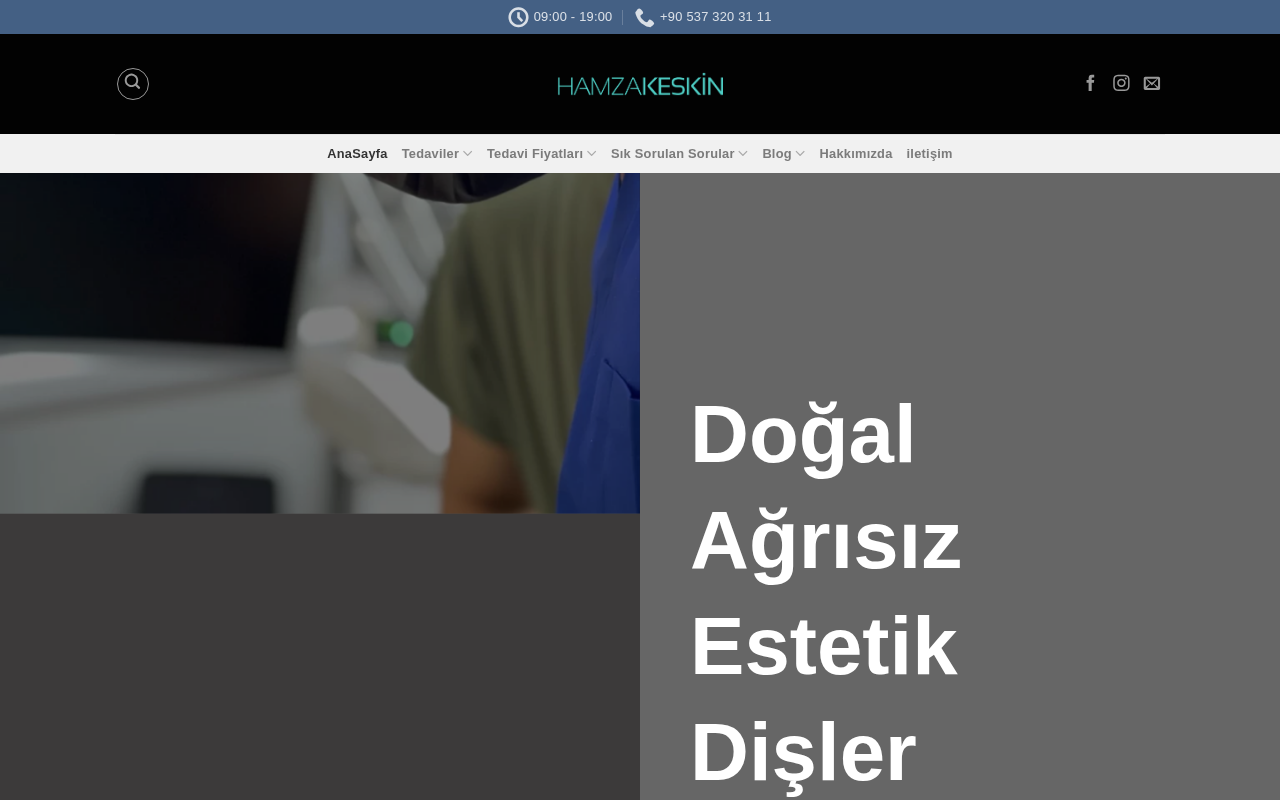 Web sitesi görüntüsü