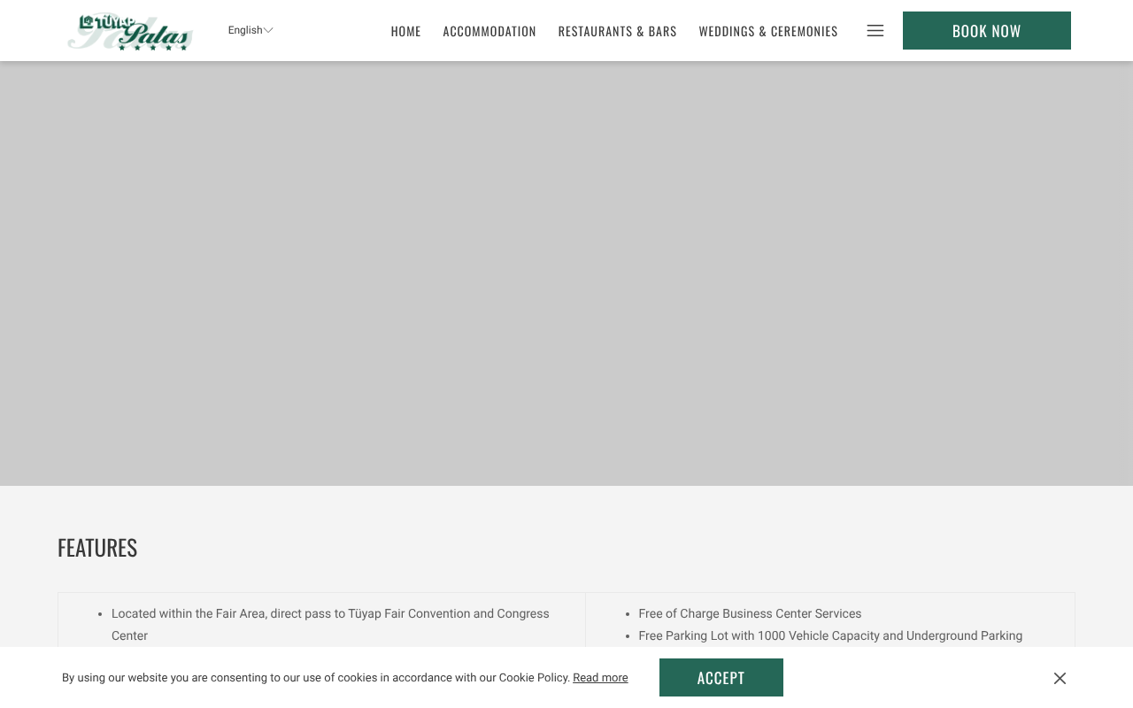 Web sitesi görüntüsü