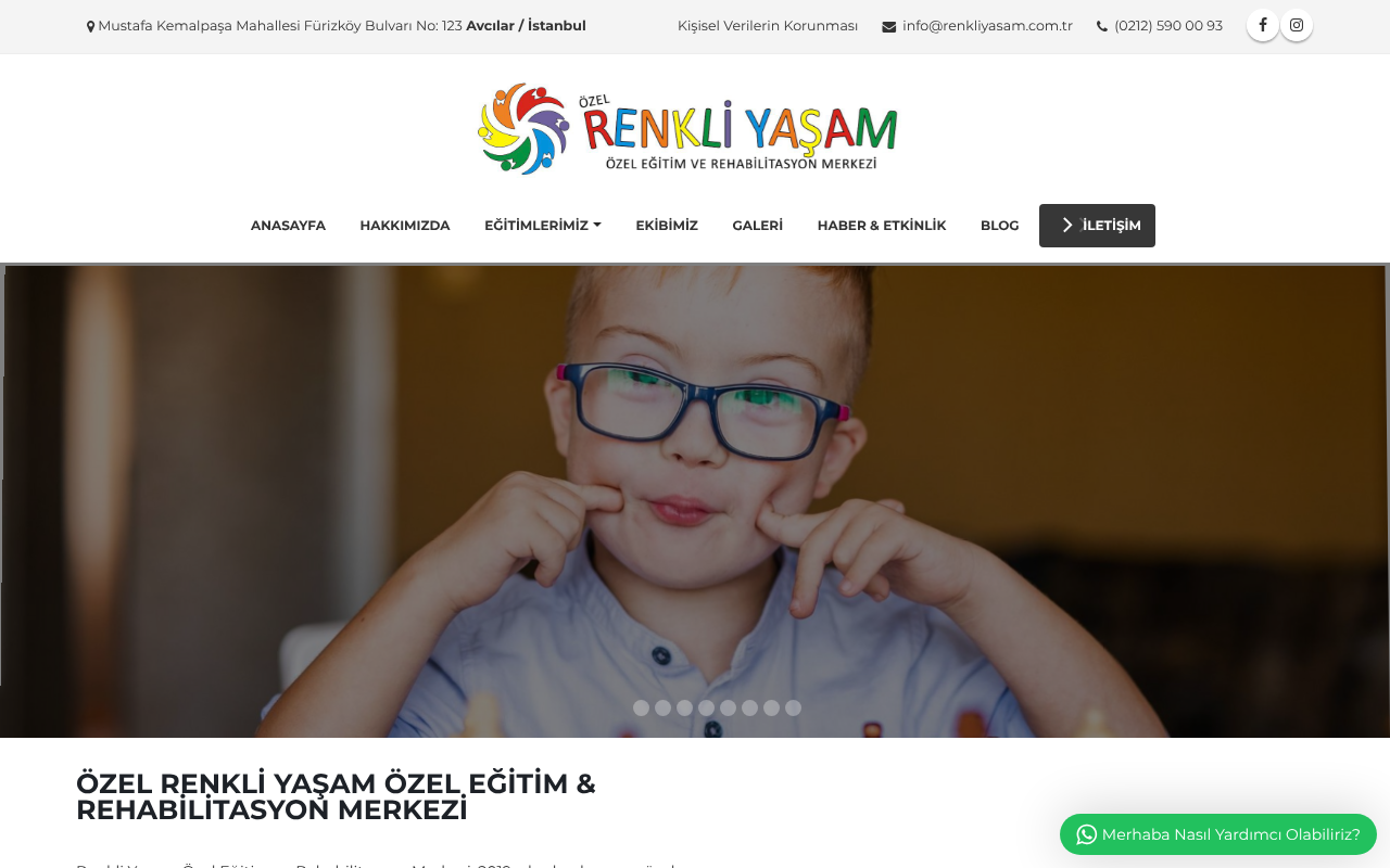 Web sitesi görüntüsü