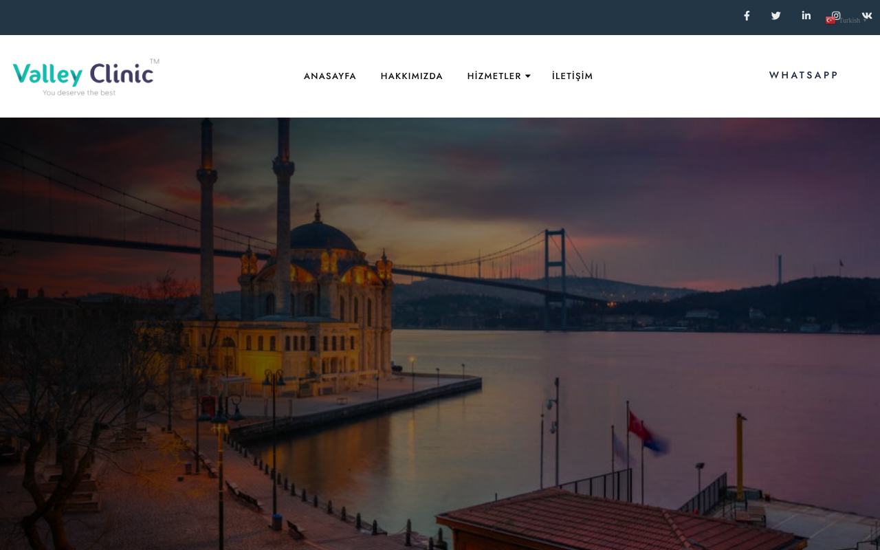 Web sitesi görüntüsü
