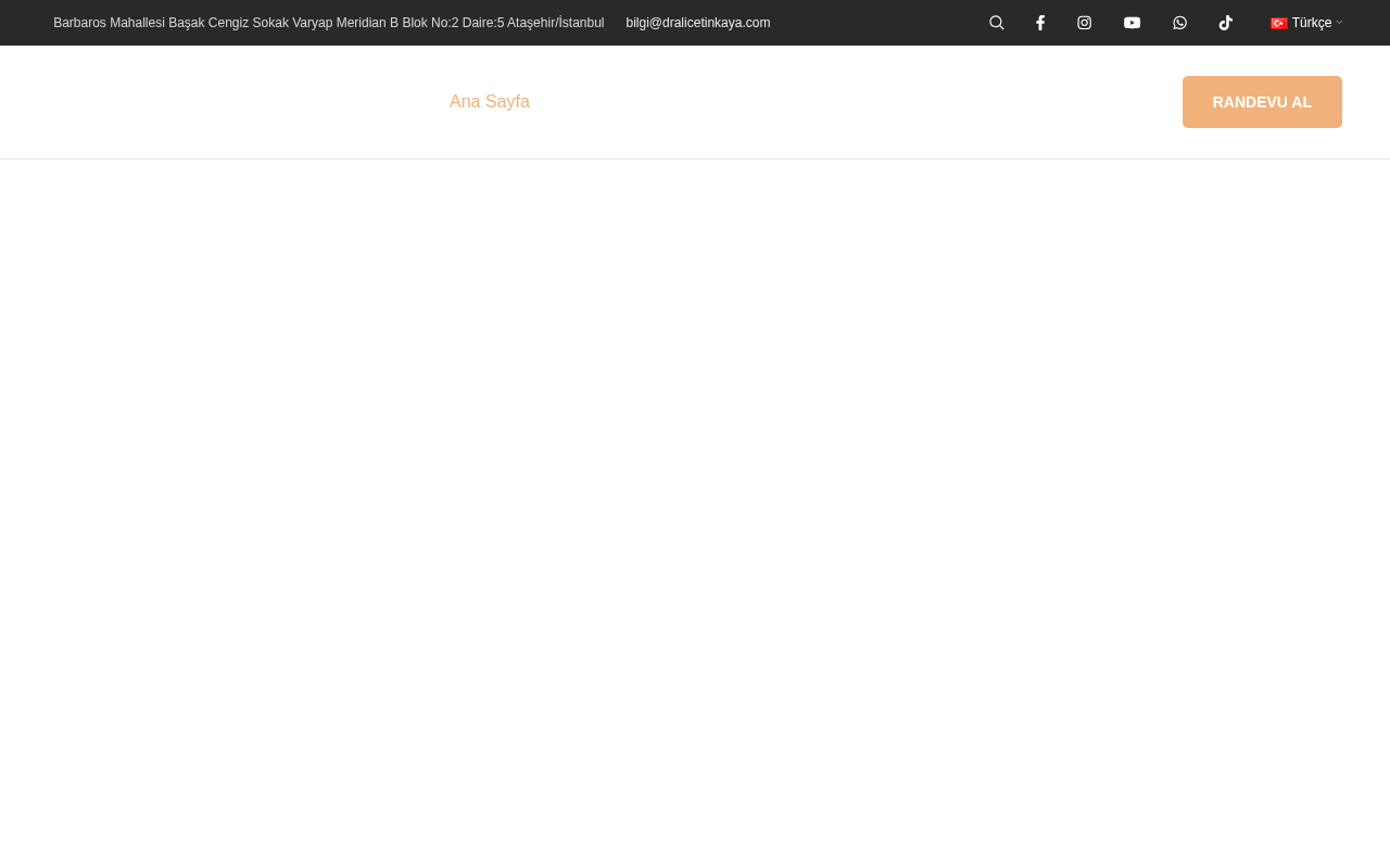 Web sitesi görüntüsü