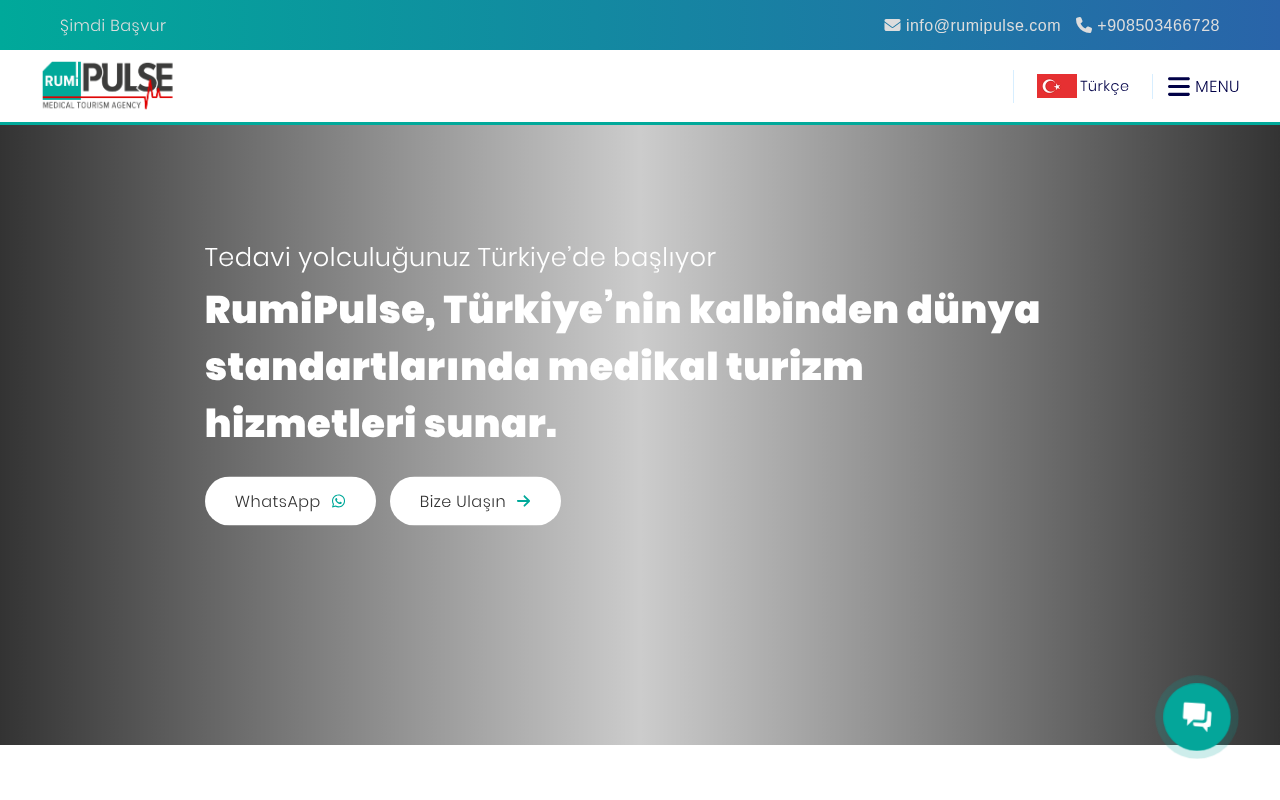 Web sitesi görüntüsü