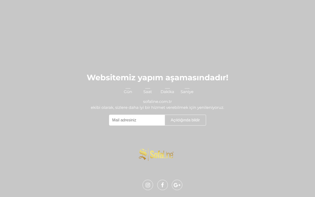 Web sitesi görüntüsü