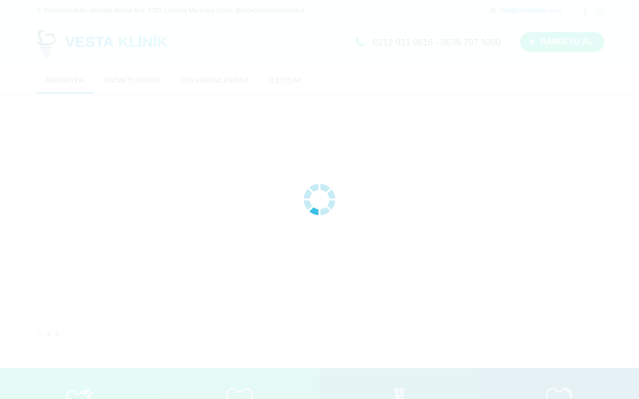 Web sitesi görüntüsü