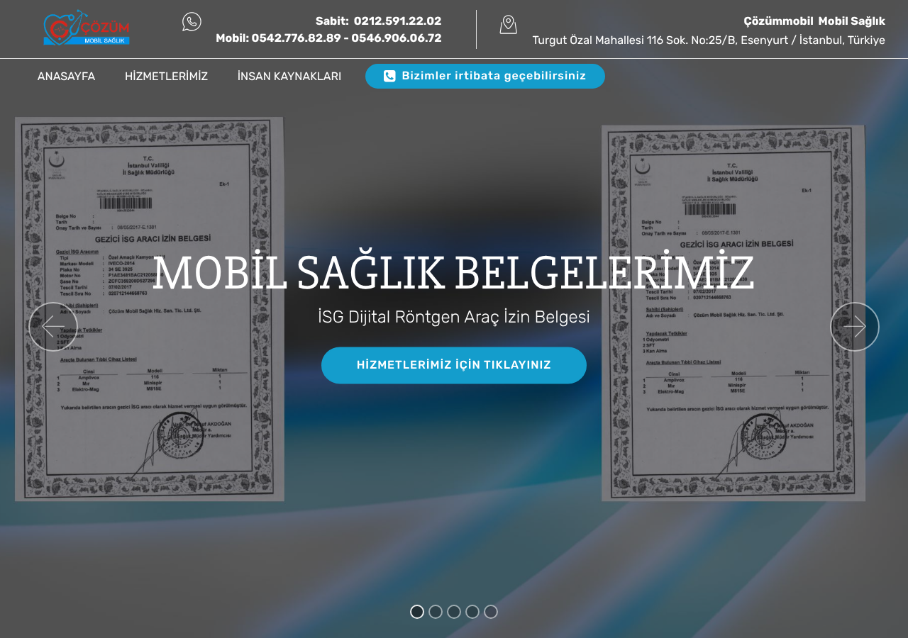 Web sitesi görüntüsü