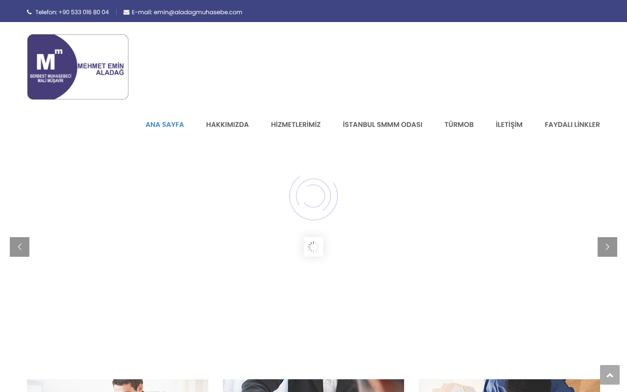 Web sitesi görüntüsü