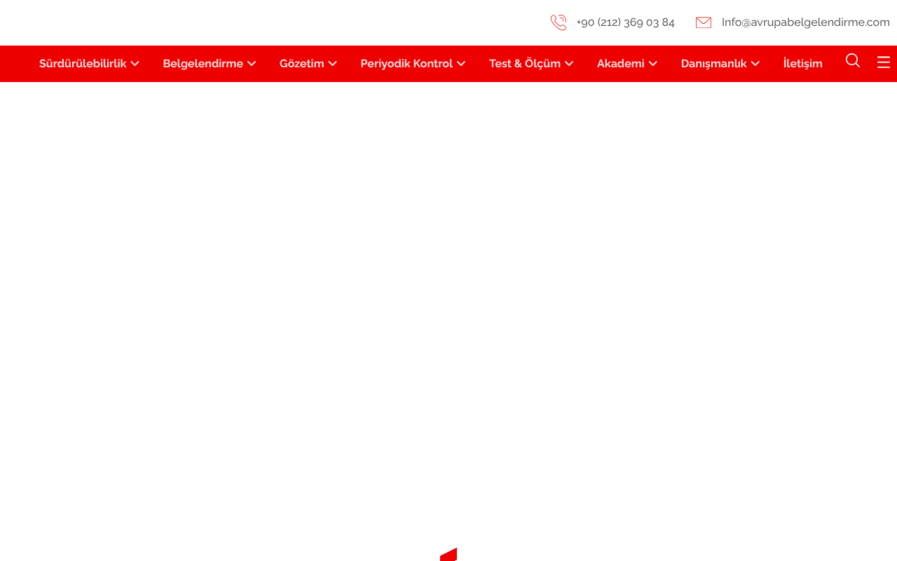 Web sitesi görüntüsü