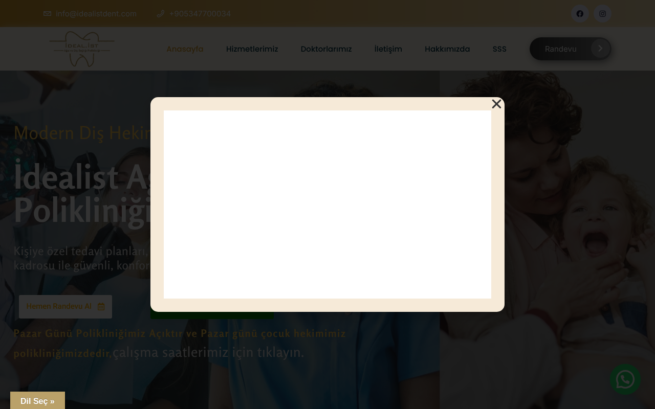 Web sitesi görüntüsü