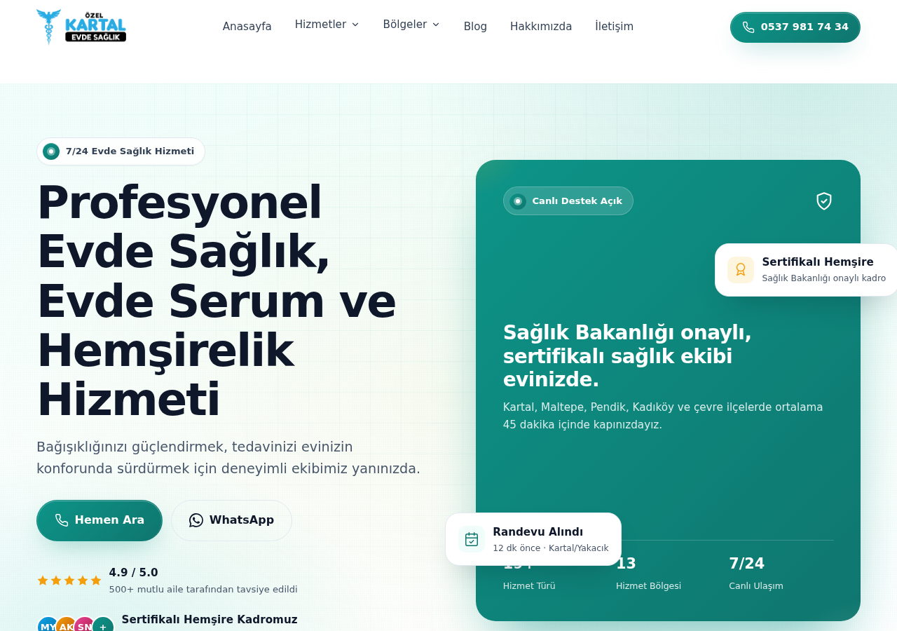 Web sitesi görüntüsü