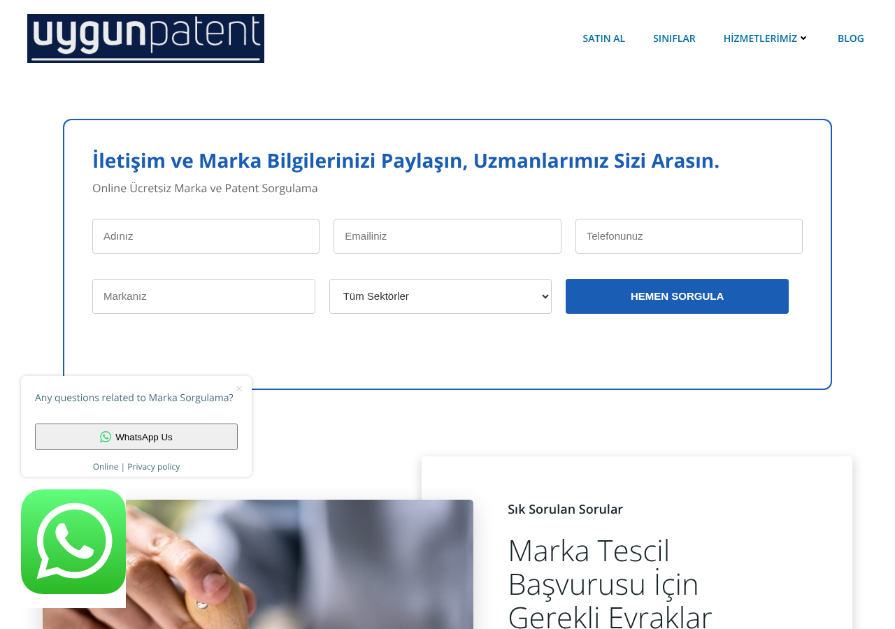 Web sitesi görüntüsü