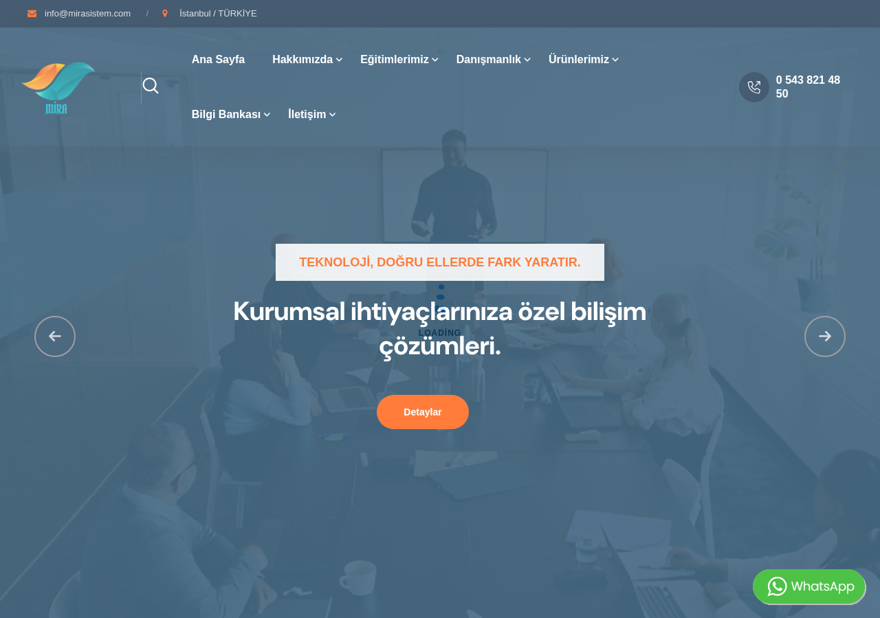 Web sitesi görüntüsü