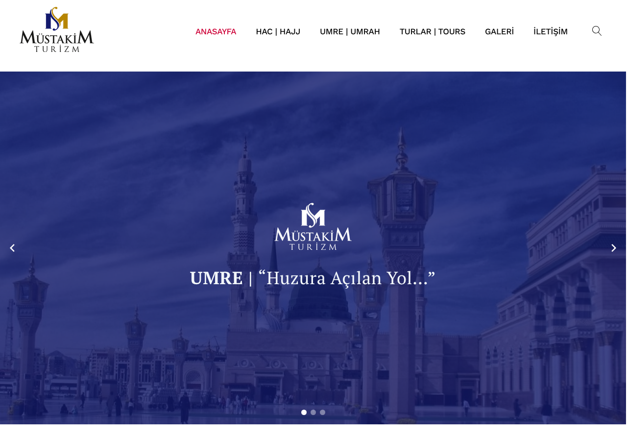 Web sitesi görüntüsü