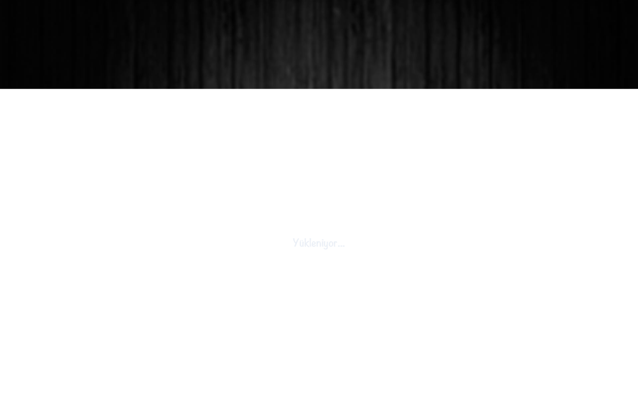 Web sitesi görüntüsü