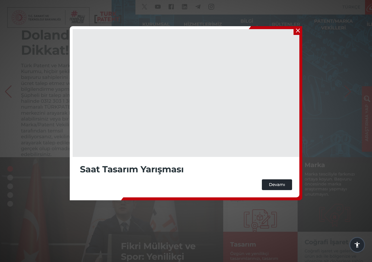Web sitesi görüntüsü