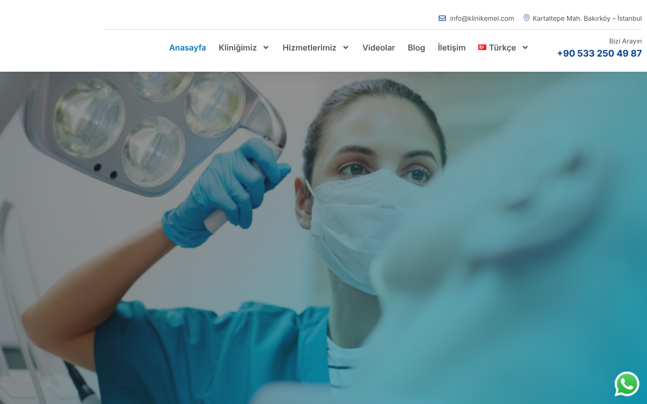 Web sitesi görüntüsü