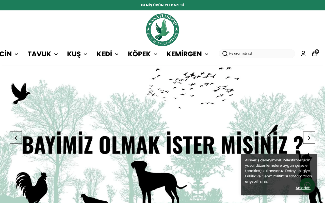 Kanatlı Shop — Site Report