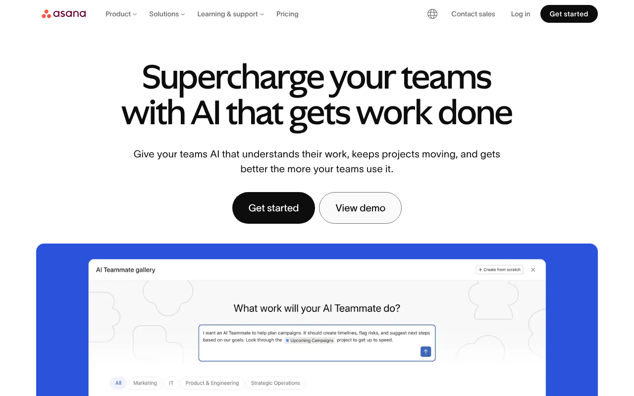 Asana screenshot