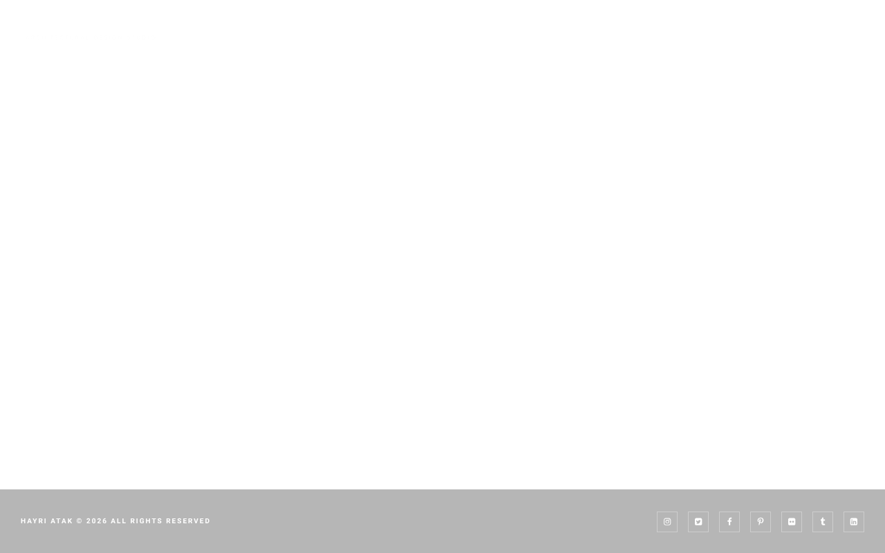 Hayri Atak Architectural Design Studio screenshot