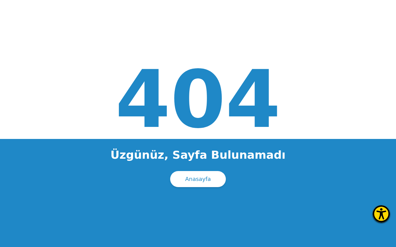 Web sitesi görüntüsü